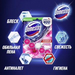 Гигиенический блок для унитаза Domestos "Power 5. Ледяная Магнолия", 1шт.